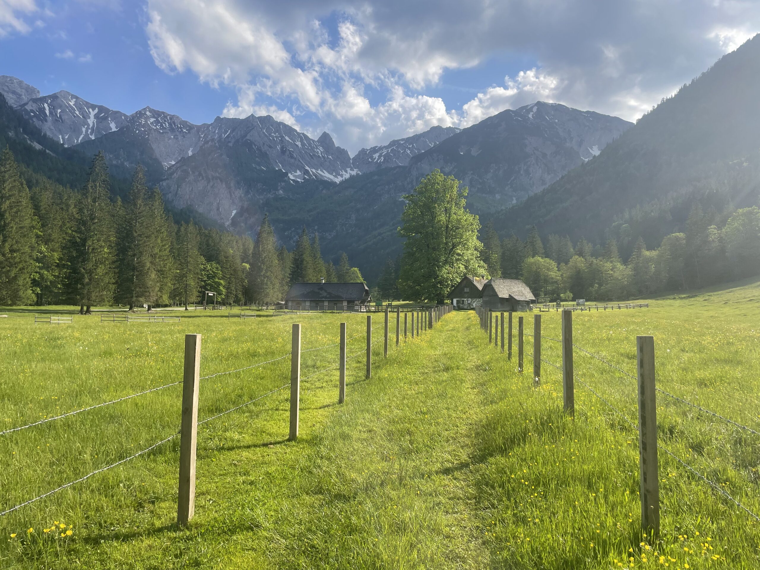Blick auf Berglandschaft mit Wiesen und Bergen